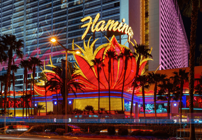 Flamingo Las Vegas Hotel and Casino Night View 1 
