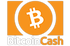 Bitcoin Cash logo