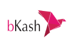 bKash Logo
