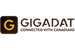 Gigadat Logo