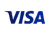 Visa Logo