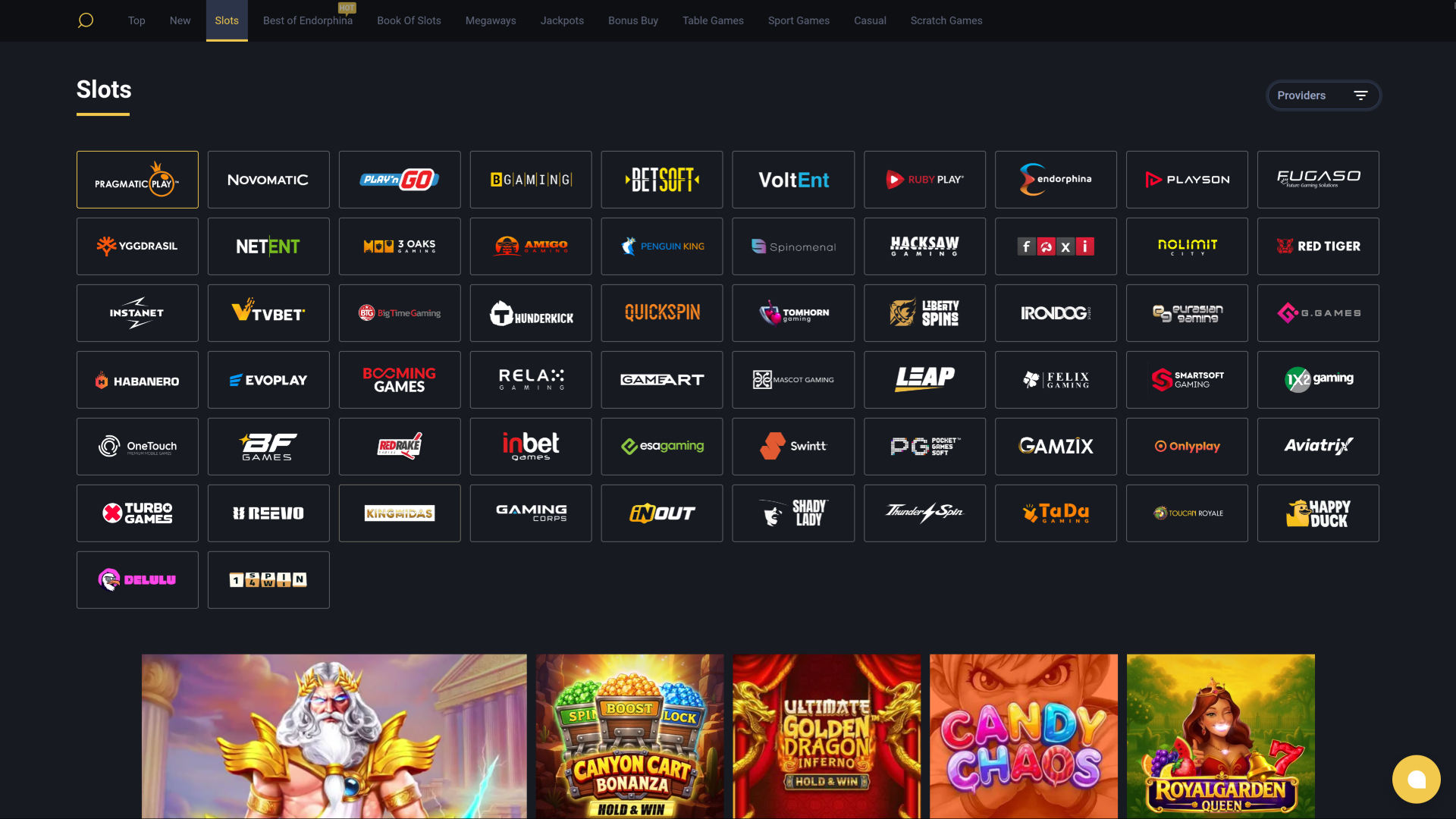 Sviluppatori di giochi per desktop di 24Slots Casino