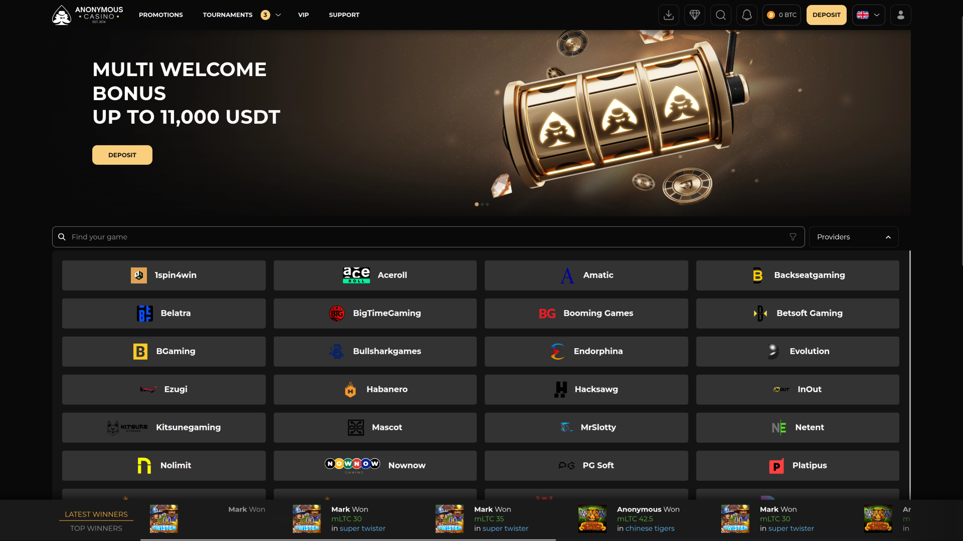 Разработчики игр anonymous Casino на компьютере