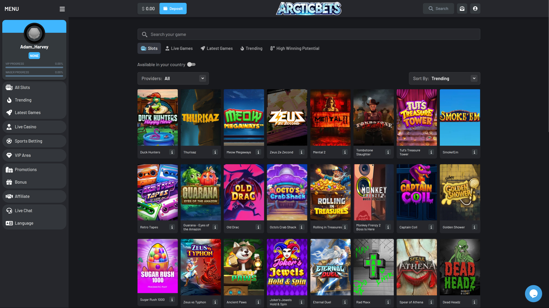 Jeux de casino Arcticbets sur ordinateur