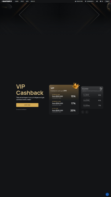 Programma VIP Batery Mobile