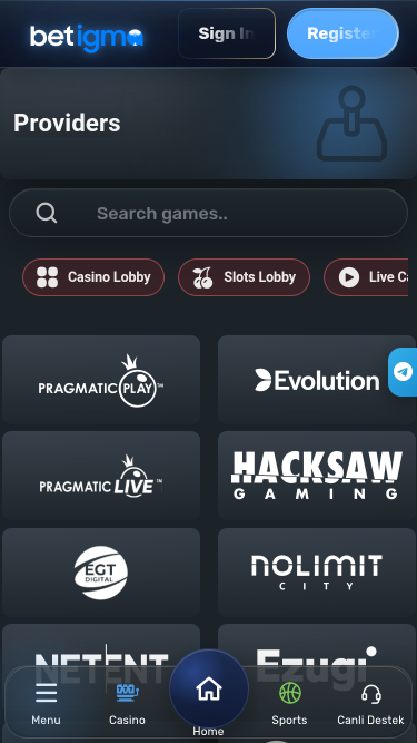 Betigma Casino Mobile Game Developers