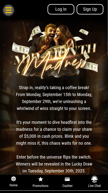 Folie mobile de Big Dollar Casino