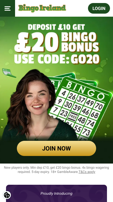 Мобильная версия сайта казино Bingo Ireland