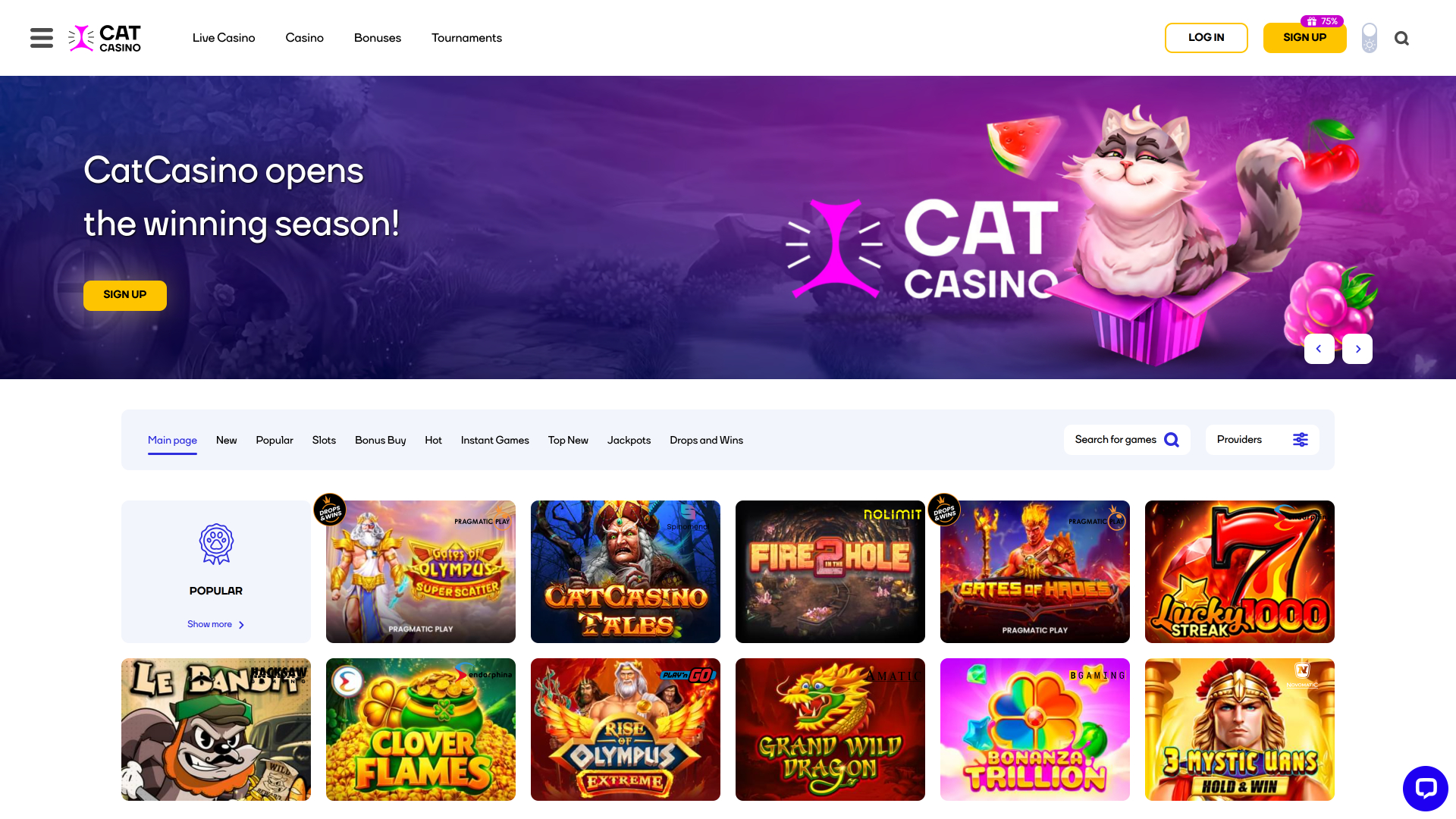 Page d’Accueil du Casino Cat Version Bureau