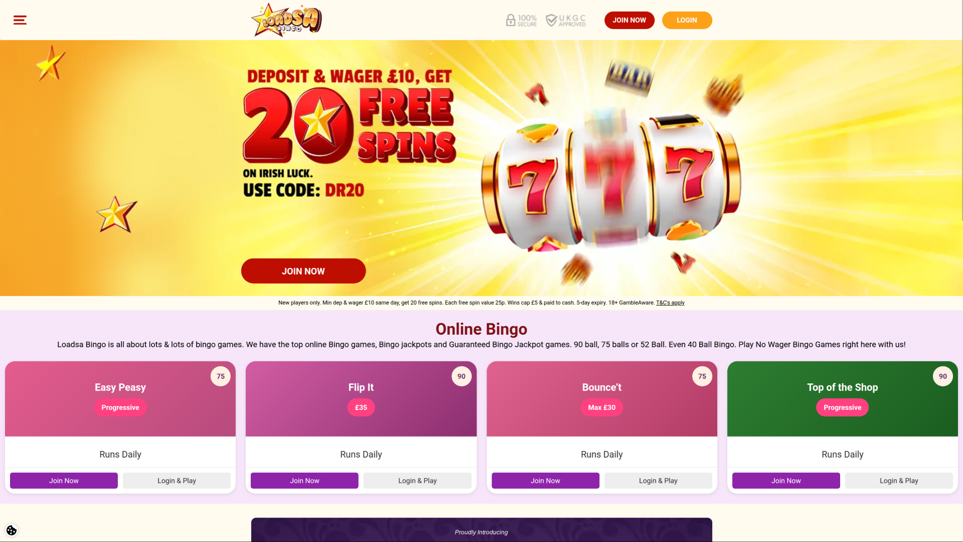 Pagina iniziale desktop di Loadsa Bingo Casino