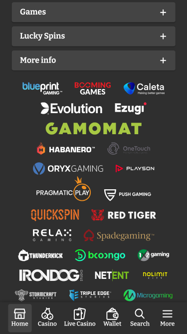 Développeurs du jeu mobile Lucky Spins