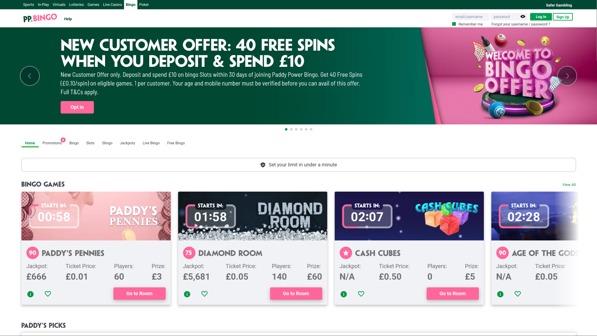 Bingo de escritorio del casino Paddy Power