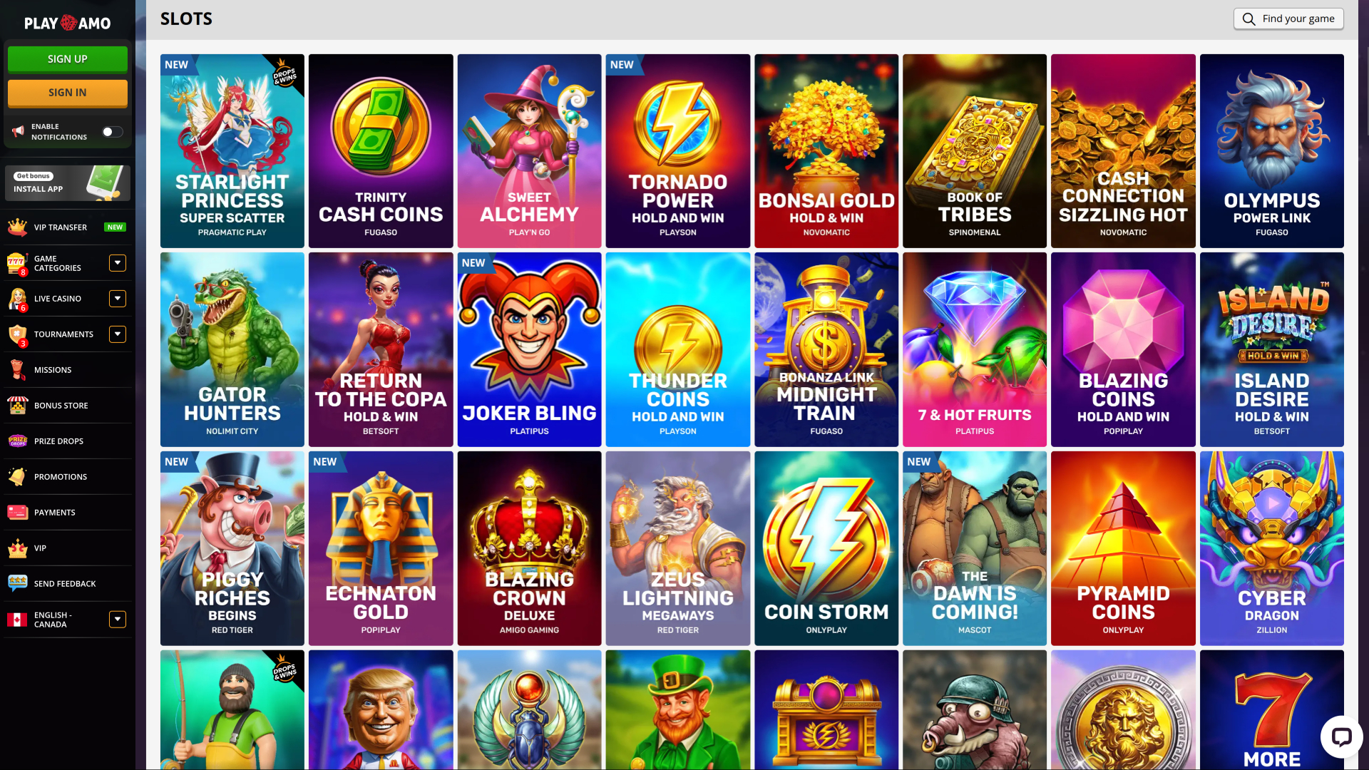 Playamo Casino Desktop Games