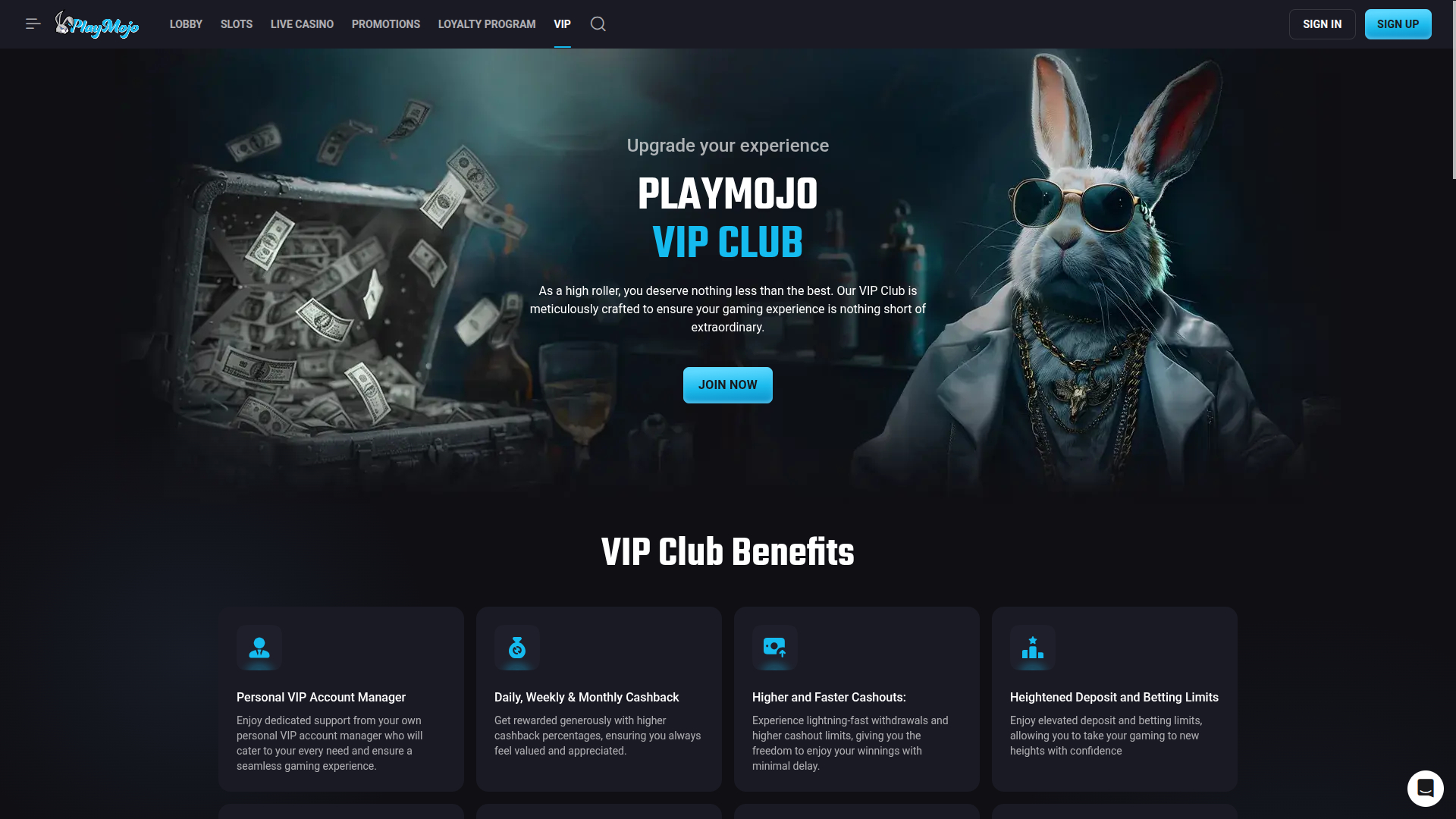 PlayMojo Casino Desktop VIP Program