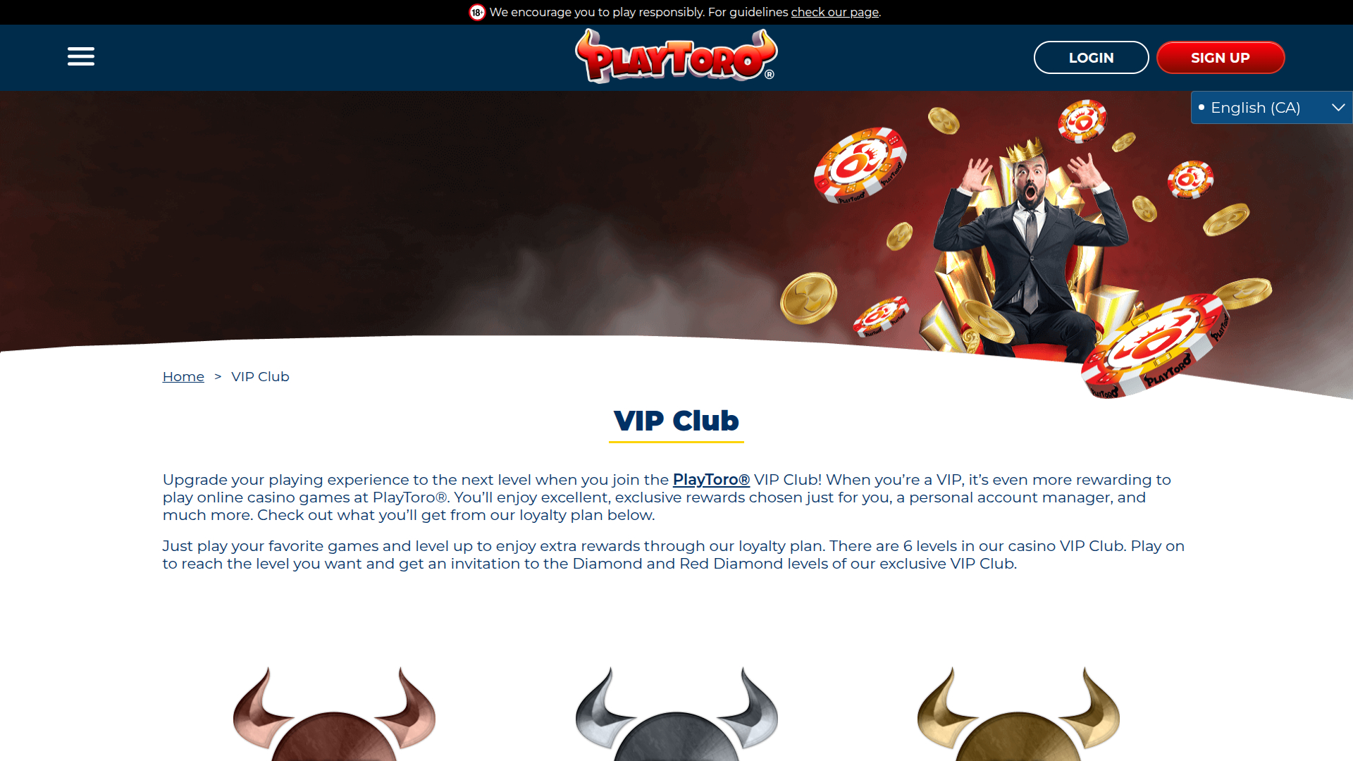 PlayToro Casino Desktop VIP Program