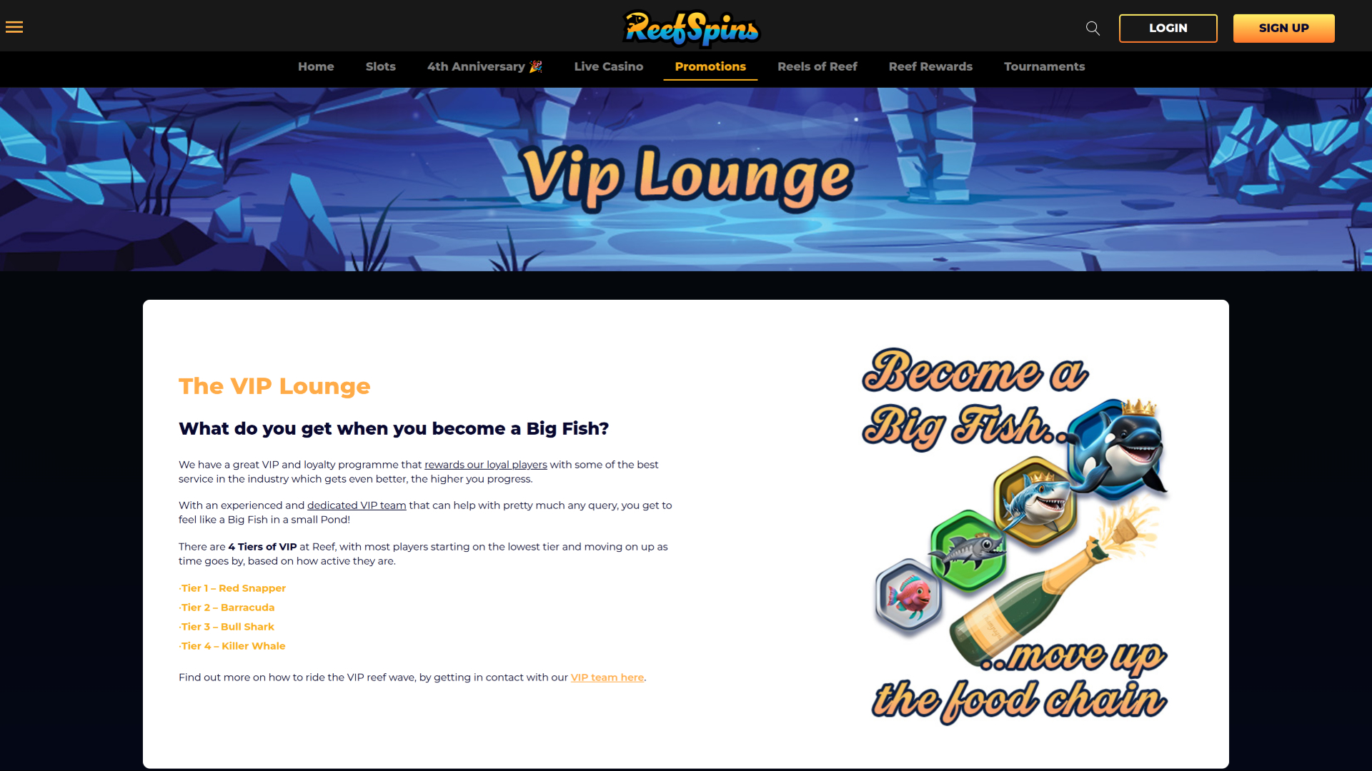 ReefSpins Casino Desktop VIP