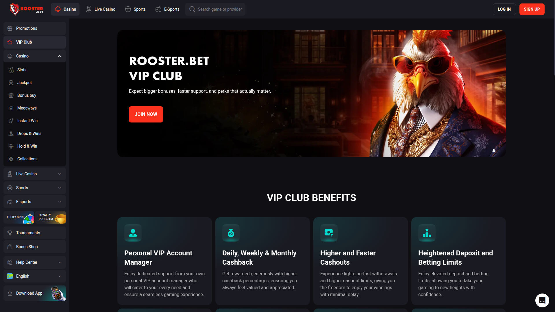 Программа Rooster Bet Desktop VIP