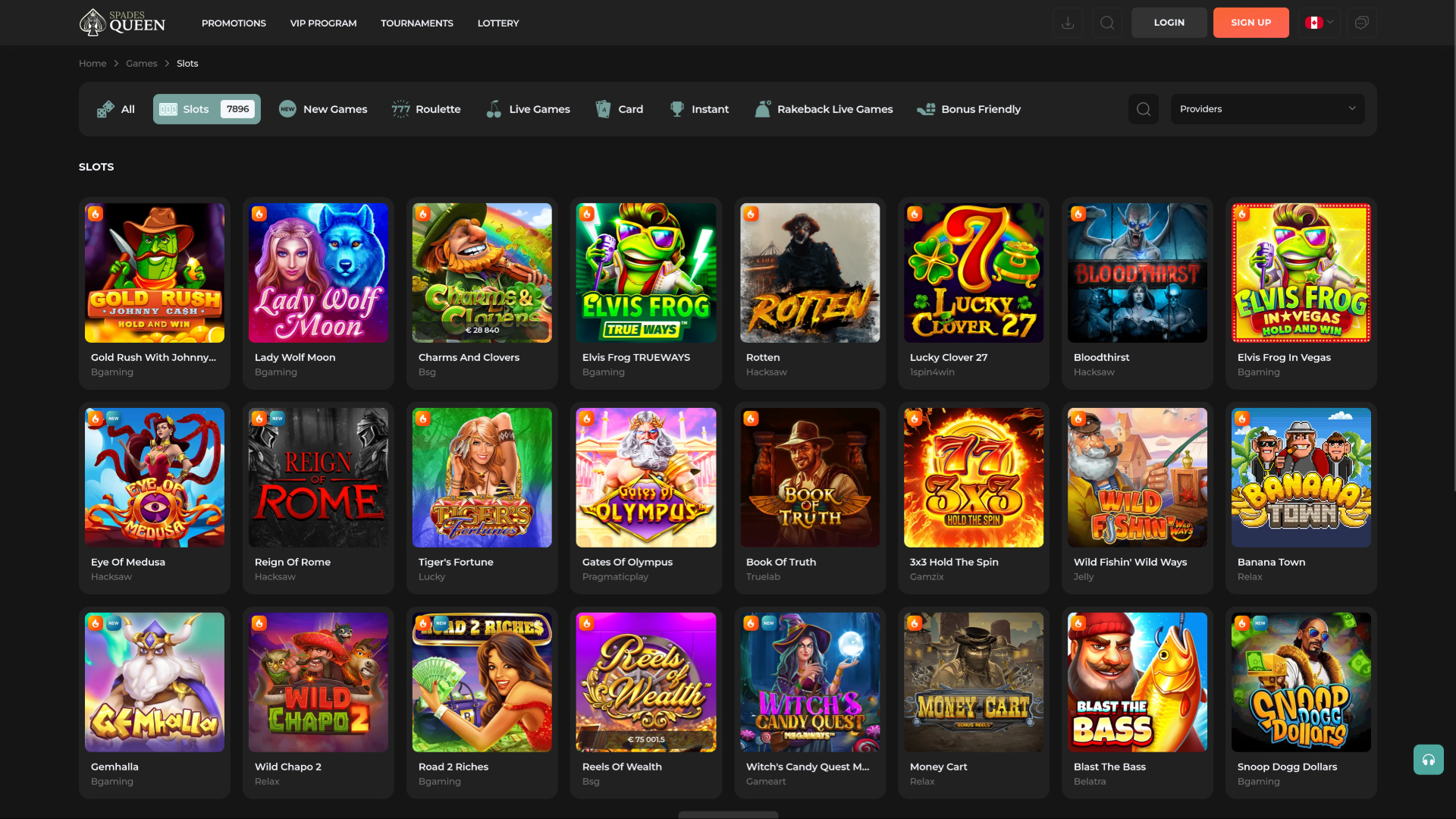 Spades Queen Casino Desktop Games