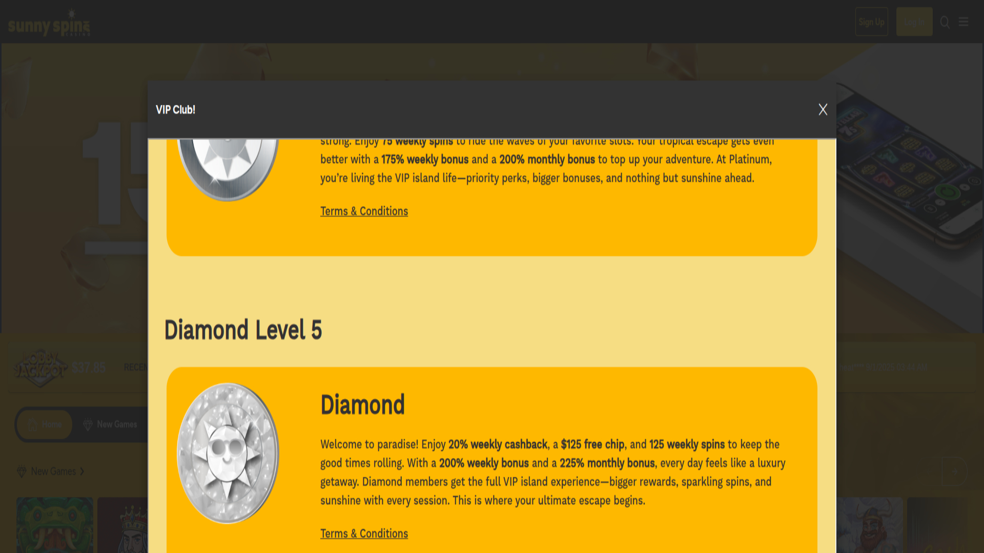 Screenshot of Sunnyspins Casino VIP Program for Desktop