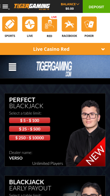 Croupier en direct mobile de TigerGaming Casino