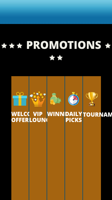 Vegas Winner Casino Mobile-Aktionen