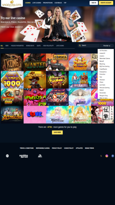 Viggoslots Casino Mobile Game Developers