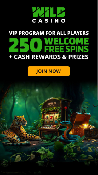 Promotions mobiles de Wild Casino