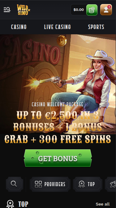Wildsino Casino mobile Startseite