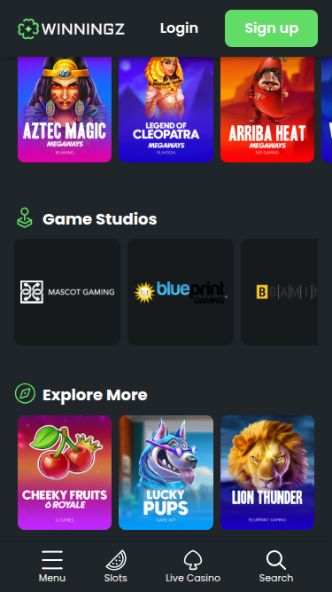 Winningz Casino Mobile Game Developers