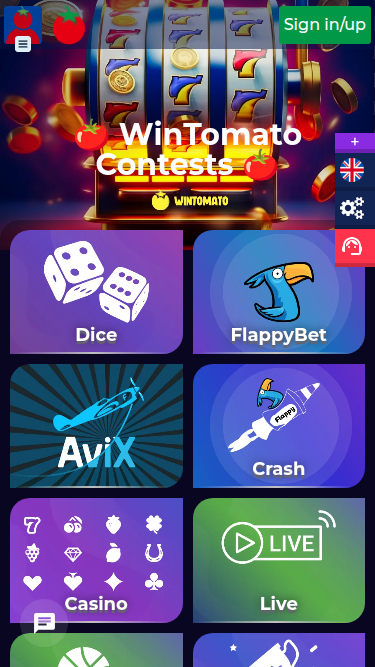 Page d'accueil mobile de Wintomato Casino