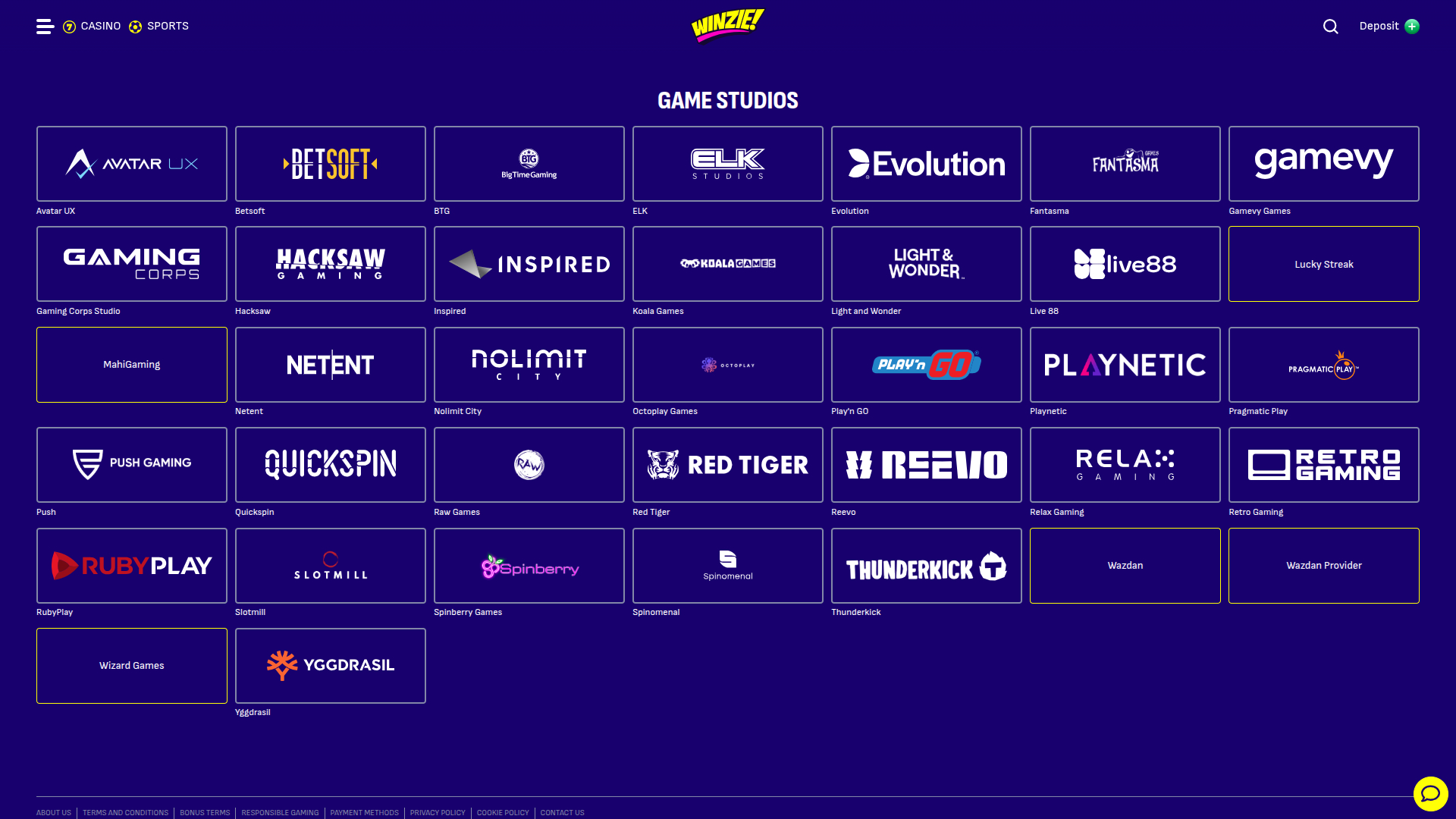 Sviluppatori di giochi desktop di Winzie