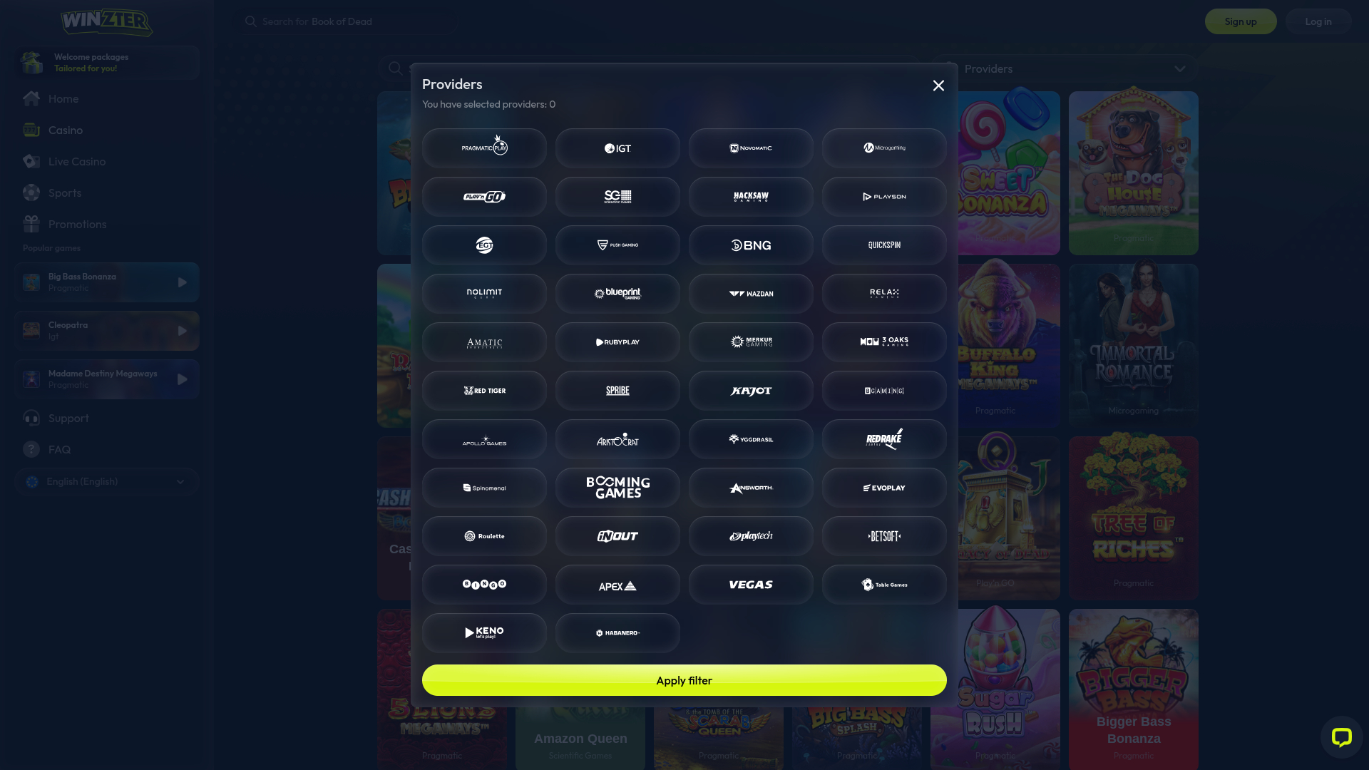 Winzter Casino Desktop Game Developers