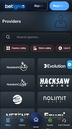 Betigma Casino Mobile Game Developers