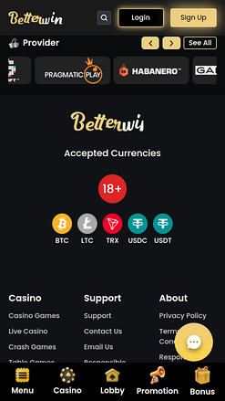 Разработчики мобильных игр для казино Betterwin