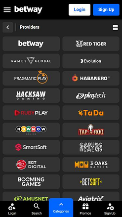 Betway Casino Mobile Game Developers