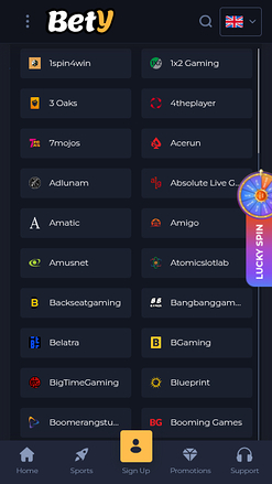 Bety Casino Mobile Game Developers