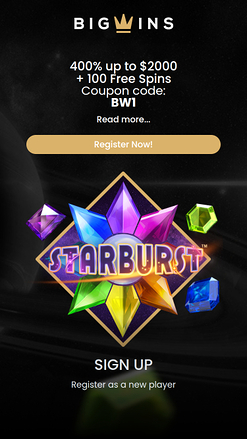 Homepage mobile di BigWins