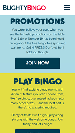 Promozioni mobile di Blighty Bingo Casino