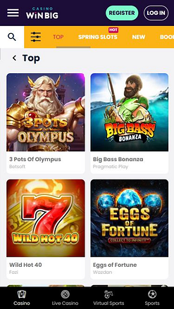 Image des jeux mobiles CasinoWinBig
