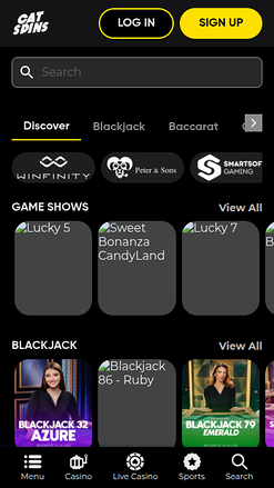 Live-Dealer-Screenshot von Cat Spins Casino für Mobilgeräte