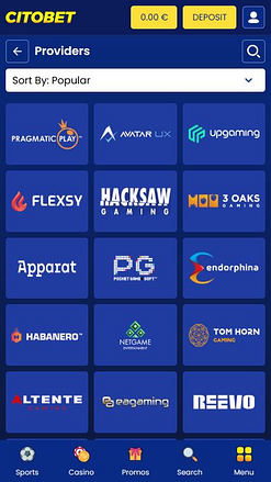 Citobet Mobile Game Developers Image