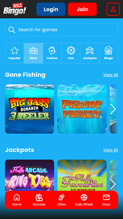 Jeux du Daily Record Bingo Version mobile