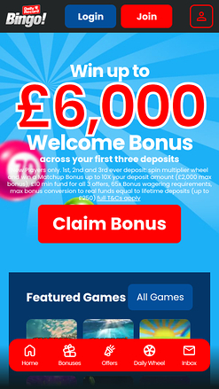 Page d’accueil du Daily Record Bingo Version mobile