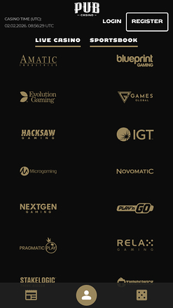 Entwickler von mobilen Pub-Casino-Spielen