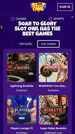 Croupier en direct mobile de Slot Owl Casino