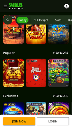Jeux mobiles de casino Wild