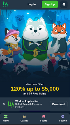 Wild.io Casino Homepage Mobile