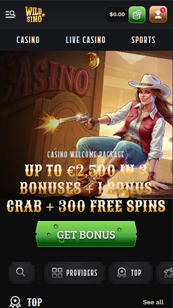 Wildsino Casino mobile Startseite
