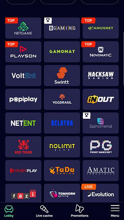 WildWinz Casino game developers mobile page