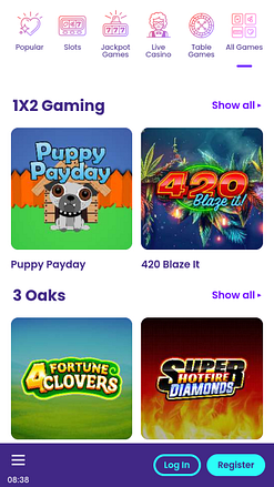 Wildz Casino Mobile Game Developers